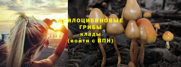 молекула духа Алзамай
