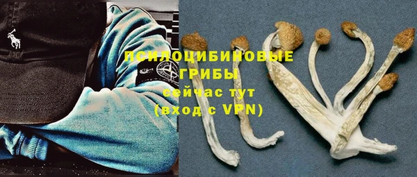 молекула духа Алзамай