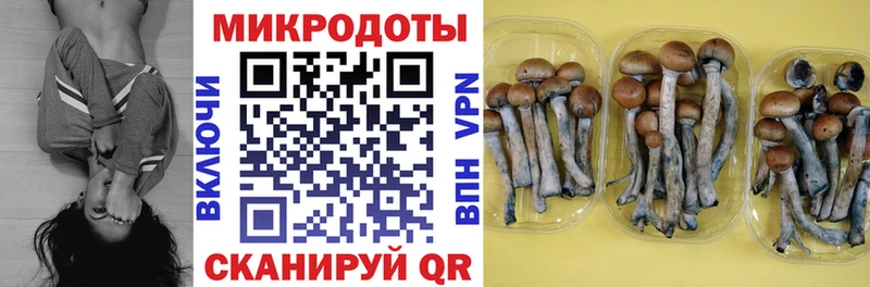 купить наркотик  Белгород  Псилоцибиновые грибы Magic Shrooms 