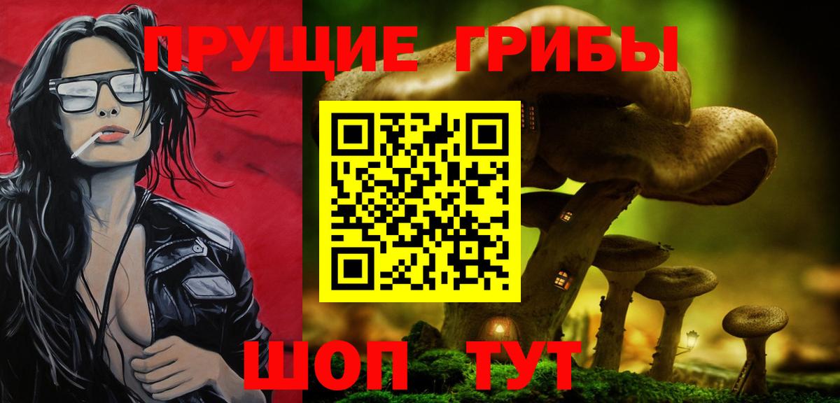 Галлюциногенные грибы Psilocybe  купить   Белгород  Галлюциногенные грибы Psilocybe  Вход с VPN 